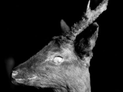Exhibition: Andrei Liankevich. Pagan