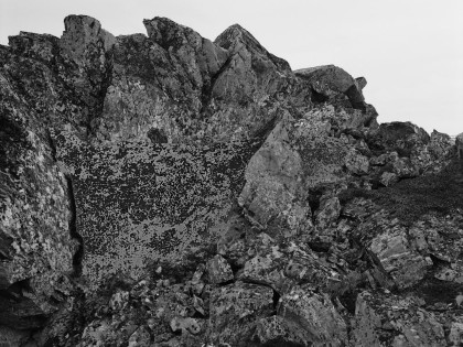 Exhibition: Alexander Veryovkin. Beyond the tree line