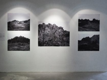 Photochronicle: Alexander Veryovkin “Beyond the tree line”