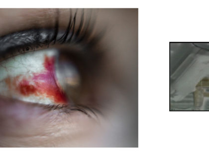 When I appear. Curator vs photographer. Exhibition and discussion program