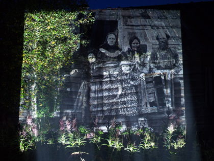 Exhibition: Evgeny Molodtsov. Vepsian forest.